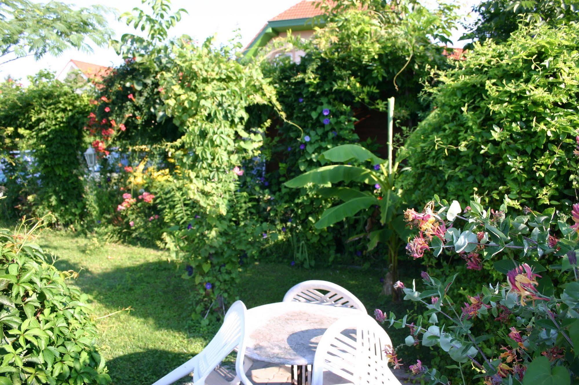 Lorelei Pension Adults Only Gyenesdias Bagian luar foto